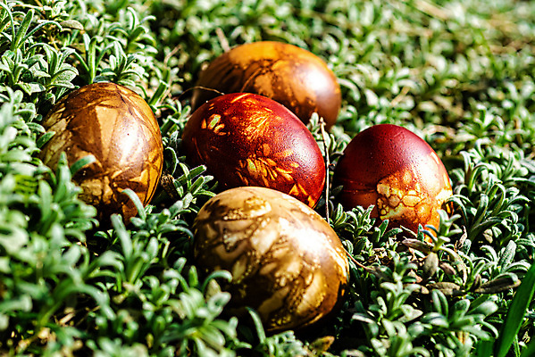 포토 JPG 해외이미지 전통 디자인 계절 종교 음식 컨셉 꽃무늬 밭 오렌지 자연 휴가 부활절 잔디 사람없음 야외 장식 초록색 컬러풀 햇빛 태양 노란색 계란 축제 페인트 봄 활발 축하 신선 그리기 변화 4월 수집 심볼 사냥 내추럴 숨기 해외202007 해외포토 자연요소 식물 기념일 꽃 컬러 무늬 농업 과일 모션 알 날짜 생태계 파일형식