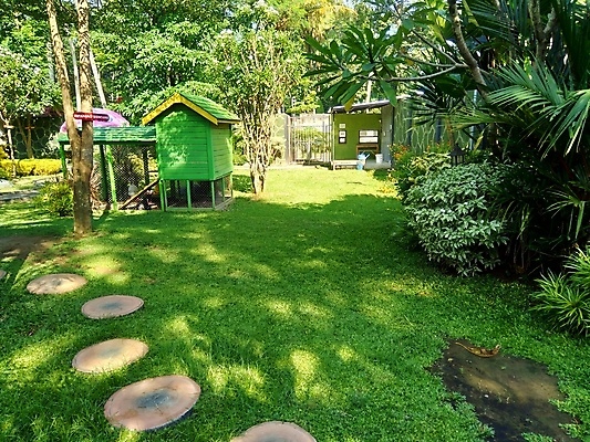 포토 JPG 해외이미지 나무 풍경 잔디 사람없음 야외 건물 초록색 햇빛 정원 보행로 오솔길 해외202007 해외포토 식물 건축물 길 컬러 태양 파일형식