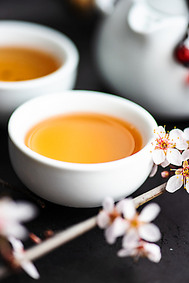 포토 JPG 해외이미지 꽃 근접촬영 사람없음 나뭇가지 소프트포커스 찻잔 해외202007 해외포토 나무 식물 뷰포인트 잔 촬영기법 파일형식