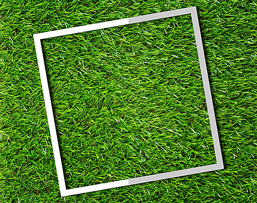 포토 JPG 해외이미지 배너 사각프레임 그림자 잔디 사람없음 초록색 정원 봄 공백 정사각형 해외202007 해외포토 도형 식물 계절 컬러 프레임 사각형 파일형식