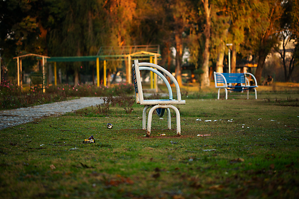 포토 JPG 해외이미지 나무 식물 계절 공원 도로 길 가구 백그라운드 잎 벤치 의자 자연 아침 휴식 거리 풍경 잔디 사람없음 야외 목재 빨간색 초록색 여름 갈색 정원 맑음 봄 산책 가을 나뭇가지 신선 도시 고독 숲 오솔길 원예 장면 내추럴 옛날 해외202007 해외포토 주간 공공시설 감정 컬러 생활용품 컨셉 재료 교통시설 날씨 취미 생태계 파일형식