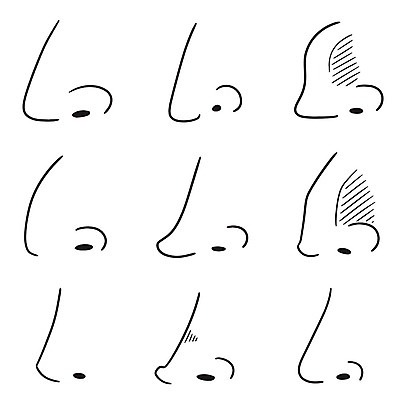 EPS 해외이미지 모양 디자인 선 일러스트 해부 아이디어 건강 사람 성인 그래픽 장식 세트 그리기 오르간 호흡 낙서 만화 스케치 수집 심볼 라인아트 사인 그림 코 생물학 클립 냄새 심플 코믹 손그림 돌봄 엘리먼트 해외202007 해외일러스트 교육 컨셉 의학 모션 미술 신체부위 건반악기 파일형식 벡터