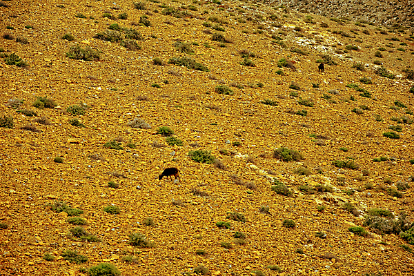 포토 JPG 해외이미지 구름 공원 유럽 섬 여행 백그라운드 자연 하늘 날씨 산 풍경 사람없음 야외 초록색 여름 파란색 빛 여행객 우주 환경 계곡 사막 탐험 센터 언덕 내추럴 산악지대 스페인어 전국 해외202007 해외포토 자연요소 계절 공공시설 나라 컬러 사람 생태계 파일형식
