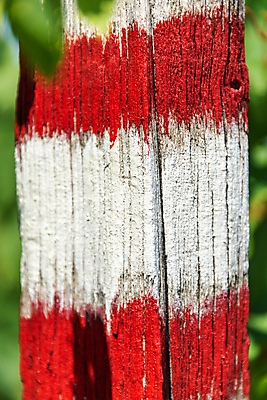 포토 JPG 해외이미지 나무 길 스포츠 여행 패턴 가이드 자국 자연 표시 사람없음 야외 목재 빨간색 초록색 여행객 산책 하이킹 흰색 그리기 더위 숲 오솔길 방향 심볼 묘사 사인 질감 나무껍질 추적 루트 방법 선로 해외202007 해외포토 식물 직업 컬러 무늬 재료 모션 레저 날씨 휴식 사람 껍질 생태계 파일형식