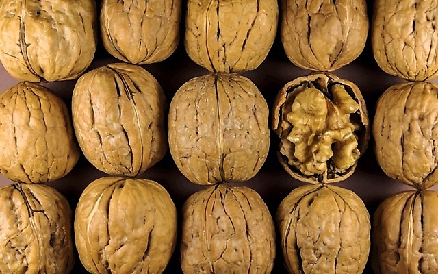 EPS 해외이미지 계절 음식 백그라운드 다이어트 과일 일러스트 재료 자연 건조 건강 목재 갈색 크래커 견과류 껍질 가을 흰색 신선 오픈 그룹 맛 먹기 오브젝트 유기농 알맹이 날것 호두 비타민 내추럴 고립 단백질 채식주의자 맛있는 해외202007 해외일러스트 나무 웰빙 컬러 컨셉 모션 쿠키 생태계 채식 영양소 파일형식 벡터