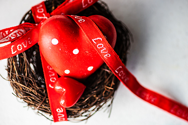 포토 JPG 해외이미지 리본 발렌타인데이 사랑 근접촬영 사람없음 하트 흰배경 해외202007 해외포토 모양 감정 뷰포인트 백그라운드 데이이벤트 흰색 파일형식