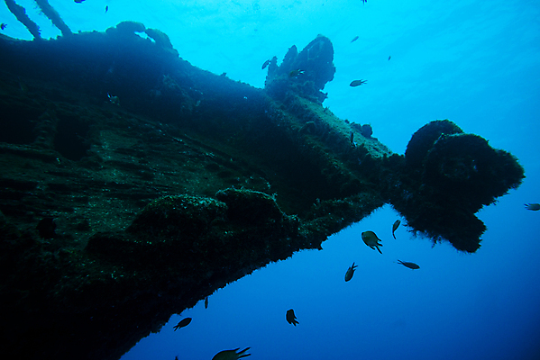 포토 JPG 해외이미지 손 스포츠 바다 섬 여행 학교 자연 어류 풍경 사람없음 물 파란색 바닷속 수중 수영 탐험 보트 잠수부 땅 아래 다이빙 내추럴 깊이 파라다이스 해외202007 해외포토 자연요소 교육 컬러 배_교통 신체부위 수중동물 수상스포츠 전문직 방향 생태계 위치 수중스포츠 파일형식