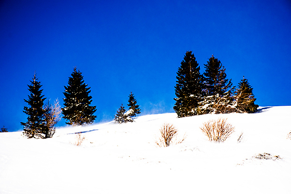 포토 JPG 해외이미지 나무 구름 응시 계절 유럽 여행 자연 하늘 바람 휴가 산 파노라마 풍경 사람없음 야외 초록색 여름 파란색 여행객 이탈리아 산책 트래킹 하이킹 탐험 소나무 정상 숲 큼 알프스 기념물 내추럴 절정 해외202007 해외포토 자연요소 식물 시선 나라 컬러 레저 날씨 휴식 촬영기법 사람 크기 생태계 파일형식