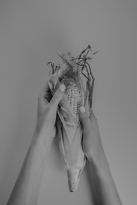 포토 JPG 해외이미지 식물 여자 음식 분홍색 백그라운드 컨셉 채소 추상 흑백 관리 옥수수 미술 사람없음 농작물 어둠 다정 회색 껍질 신선 잡기 상품 손톱 유기농 매니큐어 날것 귀 스파이크 내추럴 창백 돌봄 식용 카피스페이스 해외202007 해외포토 손 웰빙 컬러 무늬 농업 모션 문화예술 곡류 촬영기법 사람 신체부위 화장품 공백 파일형식