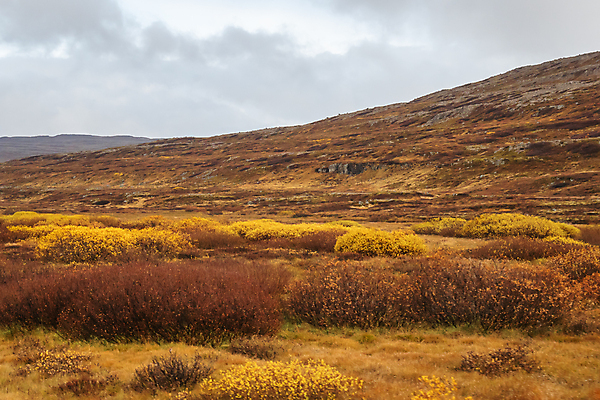 포토 JPG 해외이미지 나무 구름 여행 백그라운드 자연 하늘 산 아이슬란드 풍경 초원 사람없음 빨간색 초록색 여름 파란색 빛 햇빛 태양 노란색 일출 일몰 봄 가을 저녁 숲 내추럴 해외202007 해외포토 자연요소 식물 계절 유럽 컬러 노을 야간 생태계 파일형식