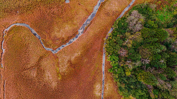 포토 JPG 해외이미지 나무 식물 계절 유럽 지구 여행 백그라운드 잎 꽃무늬 패턴 곡선 오렌지 자연 벽지 추상 안테나 미술 풍경 사람없음 야외 물 강 컬러풀 환경 가을 정상 숲 호기심 질감 발견 내추럴 구성 굴곡 드론 생태학 조감도 터키석 해외202007 해외포토 자연요소 교육 꽃 감정 나라 선 컬러 컨셉 무늬 과일 통신 문화예술 보석 생태계 파일형식