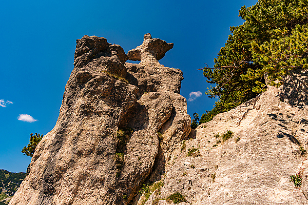 포토 JPG 해외이미지 구름 여행 자연 하늘 산 풍경 사람없음 야외 여름 봄 가을 암석 황무지 오스트리아 정상 숲 알프스 산봉우리 내추럴 보호구역 석회암 바이에른 해외202007 해외포토 자연요소 계절 유럽 독일 돌_바위 생태계 봉우리 구역 파일형식