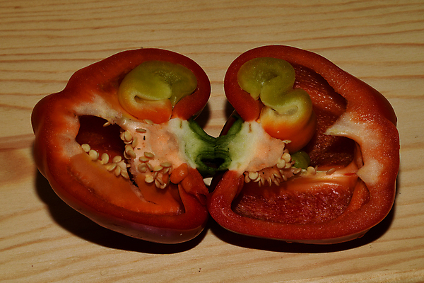 포토 JPG 해외이미지 음식 사람없음 샐러드 채식 후추 숙성 해외202007 해외포토 향신료 파일형식