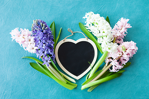 포토 JPG 해외이미지 꽃 꽃다발 꽃무늬 부활절 발렌타인데이 사람없음 가로 파란색 컬러풀 칠판 봄 하트 생일 카피스페이스 어머니의날 해외202007 해외포토 모양 식물 계절 기념일 컬러 무늬 데이이벤트 공백 미국문화 파일형식