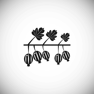 EPS 해외이미지 모양 열매 실루엣 음식 줄기 잎 농업 다이어트 일러스트 자연 디저트 건강 세트 픽토그램 농장 검은색 주스 신선 그리기 그룹 플랫 달콤 먹기 심볼 오브젝트 사인 유기농 날것 심플 칼로리 내추럴 고립 숙성 채식주의자 스타일 비건 맛있는 해외202007 해외일러스트 식물 웰빙 산업 음료 컬러 모션 촬영기법 맛 생태계 채식 파일형식 벡터