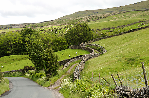 포토 JPG 해외이미지 나무 공원 도로 벽 밭 농업 자연 건조 국립공원 풍경 사람없음 초록색 농경지 가축 바위 농촌 시골 방목 오솔길 땅 요크셔테리어 언덕 북쪽 멀리 고립 밭일 선로 해외202007 해외포토 식물 동물 공공시설 산업 길 컬러 교통시설 농장 돌_바위 축산업 테리어 방향 생태계 파일형식