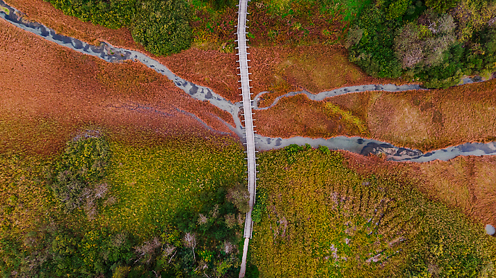 포토 JPG 해외이미지 나무 식물 계절 유럽 지구 여행 백그라운드 잎 꽃무늬 패턴 곡선 오렌지 자연 벽지 추상 안테나 미술 풍경 사람없음 야외 물 강 컬러풀 환경 가을 정상 숲 호기심 질감 발견 내추럴 구성 굴곡 드론 생태학 조감도 터키석 해외202007 해외포토 자연요소 교육 꽃 감정 나라 선 컬러 컨셉 무늬 과일 통신 문화예술 보석 생태계 파일형식