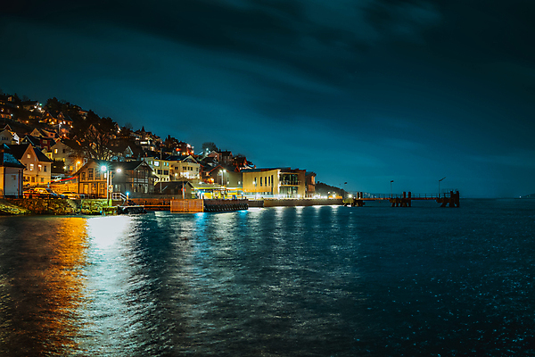 포토 JPG 해외이미지 구름 유럽 바다 여행 비즈니스 건축양식 자연 하늘 전등 노르웨이 풍경 사람없음 야외 건물 물 파란색 빛 도시풍경 반사 항구 일몰 새벽 달 도시 보트 도심 야간 달빛 상업 장노출 암초 스카이라인 스칸디나비아 해외202007 해외포토 자연요소 건축물 건축 나라 컬러 배_교통 교통시설 조명 촬영기법 노을 생태계 파일형식