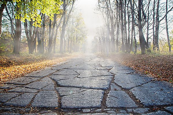 포토 JPG 해외이미지 나무 계절 유럽 도로 백그라운드 잎 건축양식 자연 하늘 풍경 사람없음 야외 옆모습 초록색 파란색 컬러풀 태양 노란색 환경 맑음 안개 광선 가을 시골 보행로 황금 숲 아스팔트 땅 루트 방법 뿌연 옛날 수평선 해외202007 해외포토 자연요소 식물 건축 나라 길 뷰포인트 컬러 교통시설 날씨 생태계 파일형식