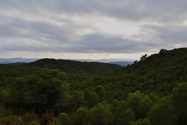 포토 JPG 해외이미지 나무 구름 계절 유럽 여행 자연 휴가 거리 따뜻함 파노라마 그림자 풍경 사람없음 초록색 여름 파란색 빛 햇빛 계곡 침묵 봄 광선 가을 스페인 연기 숲 큼 언덕 산등성이 구성 웅장함 전국 절정 막 해외202007 해외포토 자연요소 식물 나라 컬러 산 촬영기법 태양 소리 크기 생태계 파일형식