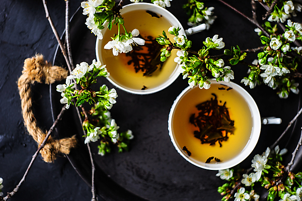 포토 JPG 해외이미지 꽃 쟁반 사람없음 하이앵글 나뭇가지 찻잔 찻잎 해외202007 해외포토 나무 식물 뷰포인트 잔 차_음료 파일형식