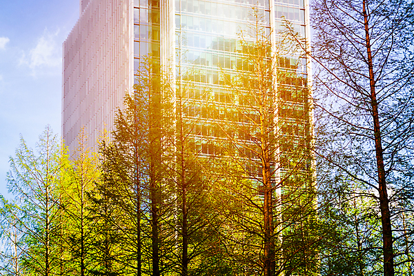 포토 JPG 해외이미지 외관 벽 백그라운드 회사 비즈니스 건축양식 창문 유리 하늘 성공 추상 미래 사람없음 건물 금융 경제 파란색 빛 도시풍경 사무실 반사 탑 고층빌딩 성장 도시 업무 센터 재산 도심 큼 상업 장면 지역 개발 경영 진짜 철강 판유리 해외202007 해외포토 건축물 건축 컬러 컨셉 무늬 재질 풍경 빌딩 작업 크기 파일형식