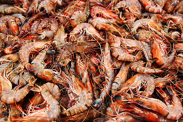 포토 JPG 해외이미지 동물 전통 문화 음식 백그라운드 다이어트 오렌지 재료 자연 낚시 조개 새우 건조 요리 동양인 사람없음 빨간색 물 햇빛 태양 머리 세일 신선 시장 맛 상품 먹기 해산물 준비 유기농 생물학 날것 캄보디아 민물 밭일 이국적 많음 맛있는 해외202007 해외포토 자연요소 웰빙 교육 아시아 컬러 컨셉 과일 모션 레저 어패류 건강 갑각류 인종 신체부위 생태계 파일형식