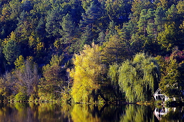 포토 JPG 해외이미지 나무 유럽 여행 잎 자연 하늘 풍경 사람없음 초록색 물 강 노란색 보라색 프랑스 가을 전원 숲 폐허 내추럴 해외202007 해외포토 자연요소 식물 계절 나라 컬러 전기에너지 생태계 파일형식