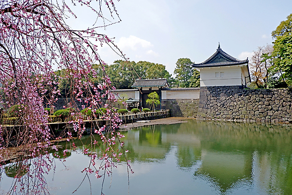 포토 JPG 해외이미지 나무 식물 전통 계절 공원 꽃 아시아 호수 분홍색 여행 컨셉 잎 꽃무늬 데이트 자연 하늘 휴가 사람없음 야외 건물 물 강 컬러풀 반사 정원 일본 봄 낭만 벚꽃 신선 개화 체리 역사 내추럴 옛날 해외202007 해외포토 자연요소 건축물 공공시설 나라 컬러 무늬 과일 생태계 파일형식