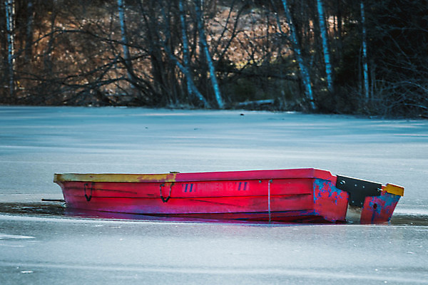 포토 JPG 해외이미지 나무 계절 호수 바다 여행 백그라운드 겨울 교통시설 자연 하늘 날씨 항해 풍경 사람없음 빨간색 물 파란색 강 태양 반사 환경 냉동 얼음 흐름 추위 탐험 흰색 등불 보트 매끈함 크리스탈 함선 서리 장면 빙산 북쪽 발견 내추럴 해외202007 해외포토 자연요소 식물 컬러 교통 컨셉 배_교통 조명 감각 광석 방향 시설 생태계 파일형식