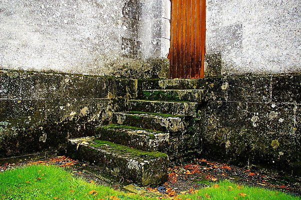 포토 JPG 해외이미지 벽 여행 잎 건축양식 자연 이끼 사람없음 초록색 교회 문 계단 프랑스 가을 바위 시골 모서리 비밀 오르기 장면 신성 마법 단계 프랑스어 숨기 해외202007 해외포토 식물 문자 계절 건축 유럽 컬러 컨셉 종교건축 모션 건물 돌_바위 생태계 파일형식