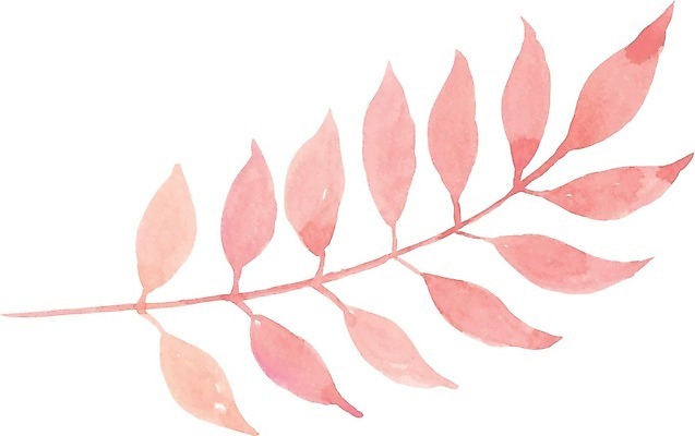 EPS 해외이미지 나무 식물 디자인 계절 분홍색 컨셉 잎 꽃무늬 일러스트 자연 추상 수채화 잉크 아이디어 미술 그래픽 장식 물 컬러풀 페인트 봄 붓 그리기 오브젝트 그림 질감 내추럴 고립 파스텔톤 해외202007 해외일러스트 자연요소 꽃 컬러 무늬 모션 문화예술 생태계 파스텔 파일형식 벡터 학용품 문구용품
