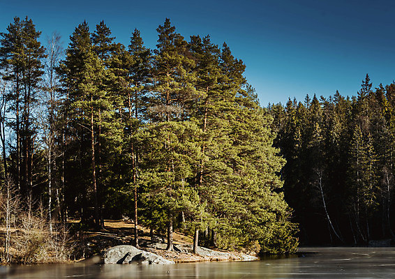 포토 JPG 해외이미지 나무 계절 공원 호수 여행 백그라운드 겨울 자연 하늘 날씨 산 노르웨이 풍경 사람없음 야외 물 파란색 빛 강 태양 반사 환경 냉동 얼음 침묵 일몰 추위 숲 시원함 북극 빙하 서리 장면 북쪽 내추럴 스칸디나비아 해외202007 해외포토 자연요소 식물 공공시설 유럽 컬러 노을 소리 극지방 방향 생태계 파일형식