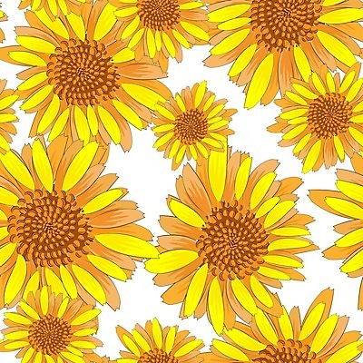 EPS 해외이미지 식물 템플릿 디자인 계절 꽃잎 꽃 백그라운드 꽃무늬 패턴 일러스트 벽지 해바라기 미술 초원 장식 여름 컬러풀 농장 노란색 유행 벚꽃 직물 신선 인쇄 천 그림 유기농 내추럴 엘리먼트 포장소품 해외202007 해외일러스트 웰빙 컬러 무늬 농업 포장 문화예술 오브젝트 포장재료 파일형식 벡터