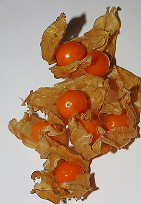 포토 JPG 해외이미지 식물 전통 계절 열매 꽃 음식 잎 다이어트 토마토 오렌지 과일 자연 탁자 디저트 건강 요리 사람없음 노란색 중국 놀람 껍질 신선 원형 체리 황금 달콤 맛 작음 망토 먹기 날것 땅바닥 숙성 식용 이국적 페루 페스츄리 맛있는 해외202007 해외포토 도형 감정 아시아 빵 컬러 가구 컨셉 채소 모션 바닥 표정 남아메리카 크기 생태계 파일형식