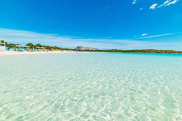 포토 JPG 해외이미지 나무 모래 파도 바다 섬 여행 백그라운드 자연 하늘 휴가 휴식 손바닥 사람 풍경 사람없음 야외 물 여름 파란색 햇빛 태양 맑음 침묵 흰색 전원 만 휴양지 석호 몰디브 이국적 터키석 파라다이스 해외202007 해외포토 자연요소 식물 손 계절 아시아 컬러 컨셉 날씨 소리 장소 전기에너지 보석 생태계 파일형식