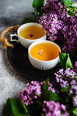 포토 JPG 해외이미지 무료이미지 꽃 쟁반 사람없음 내부 찻잔 해외202007 해외202105 해외포토 식물 잔 파일형식