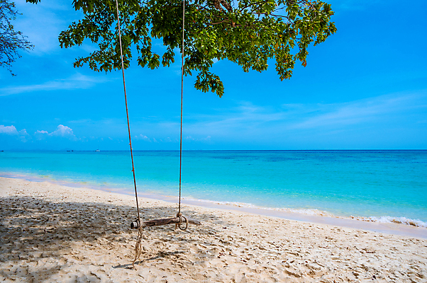 포토 JPG 해외이미지 나무 아시아 모래 바다 섬 여행 태국 자연 하늘 휴가 휴식 풍경 사람없음 야외 물 여름 파란색 컬러풀 태양 만 휴양지 다이빙 에메랄드 장면 안다만 파라다이스 해외202007 해외포토 자연요소 식물 계절 나라 컬러 컨셉 수영 장소 보석 생태계 수중스포츠 파일형식