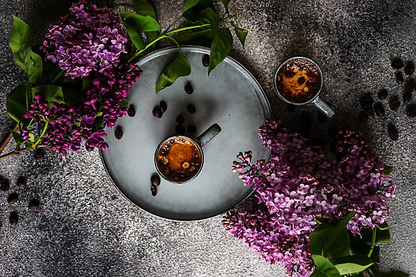 포토 JPG 해외이미지 나무 식물 계절 꽃잎 꽃 커피 음료 분홍색 꽃다발 백그라운드 컨셉 꽃무늬 탁자 아침 콩 프레임 사람없음 내부 컵 세트 봄 회색 낭만 머그컵 벚꽃 나뭇가지 시골 인사 신용카드 개화 맛 아침식사 에스프레소 라일락 콘크리트 카피스페이스 해외202007 해외포토 주간 식기 컬러 가구 무늬 곡류 금융 식사 공백 예절 파일형식