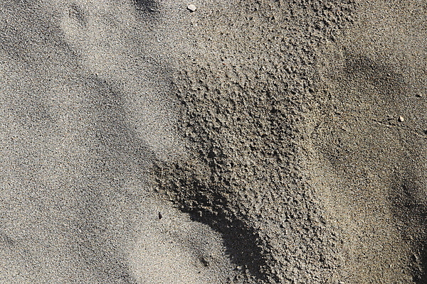 포토 JPG 해외이미지 모래 바다 백그라운드 패턴 자연 표면 건조 사람없음 야외 여름 모래사장 젖음 질감 내추럴 해외202007 해외포토 계절 무늬 생태계 파일형식