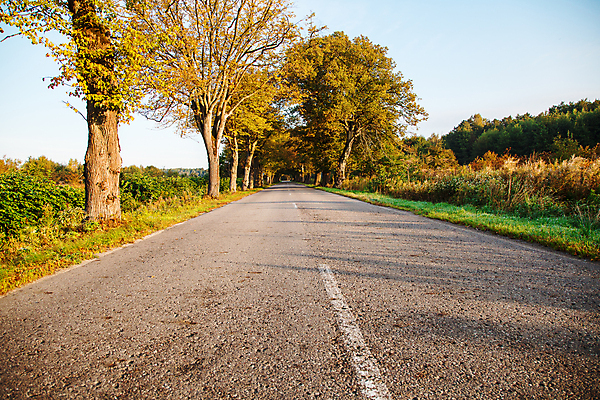 포토 JPG 해외이미지 나무 도로 길 여행 무늬 교통시설 모션 자연 날씨 새로움 거리 풍경 사람없음 야외 초록색 여름 햇빛 환경 맑음 침묵 운전 고속도로 고독 숲 아스팔트 속도 싱글 멀리 루트 방법 해외202007 해외포토 식물 계절 감정 컬러 교통 컨셉 태양 소리 시설 생태계 파일형식