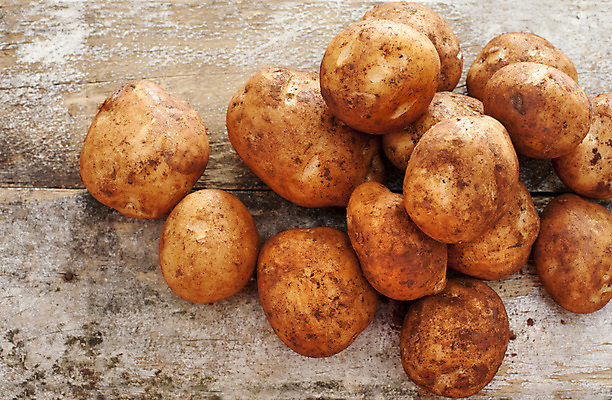 포토 JPG 해외이미지 음식 채소 재료 감자 건강 요리 사람없음 농작물 농장 쌓기 수확 신선 유기농 날것 탄수화물 해외202007 해외포토 웰빙 농업 모션 파일형식