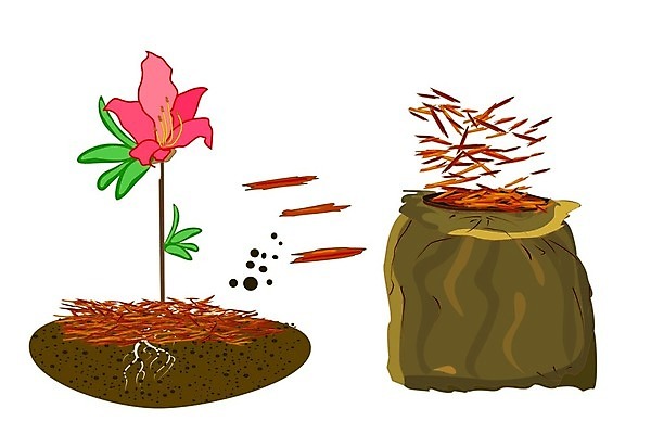 EPS 해외이미지 식물 디자인 배너 꽃 농업 가방 일러스트 주택 간판 풍경 목재 빨간색 라벨 세일 정원 흙 봄 신선 소나무 잡초 플랫 만화 진달래 청소 서비스 물주기 흰배경 유기농 원예 조경 번짐 화단 나무껍질 유지 고립 돌봄 뒤뜰 무생채 삼나무 해외202007 해외일러스트 나무 웰빙 잡화 계절 산업 컬러 백그라운드 재료 모션 프레임 취미 건물 껍질 흰색 파일형식 벡터 효과