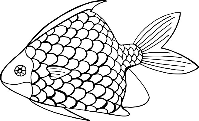 EPS 해외이미지 디자인 일러스트 흑백 어류 사람없음 스케치 색칠공부 젠탱글 해외202007 해외일러스트 촬영기법 미술 학습 수중동물 색칠 파일형식 벡터