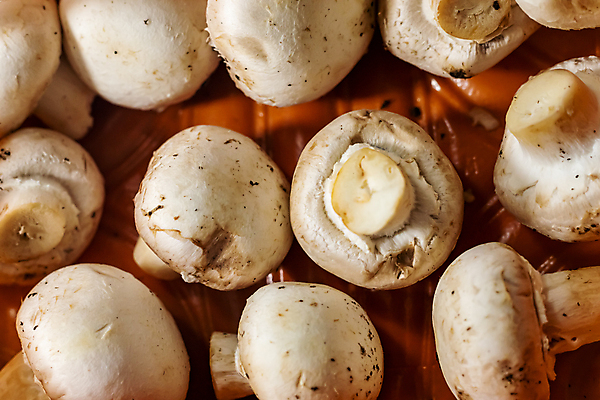 포토 JPG 해외이미지 무료이미지 음식 농업 채소 재료 포장 건강 사람없음 농작물 버섯 흰색 신선 플라스틱 날것 팩 내추럴 곰팡이 생식 세련 해외202007 해외202105 해외포토 산업 컬러 재질 화장품 파일형식 무료콘텐츠