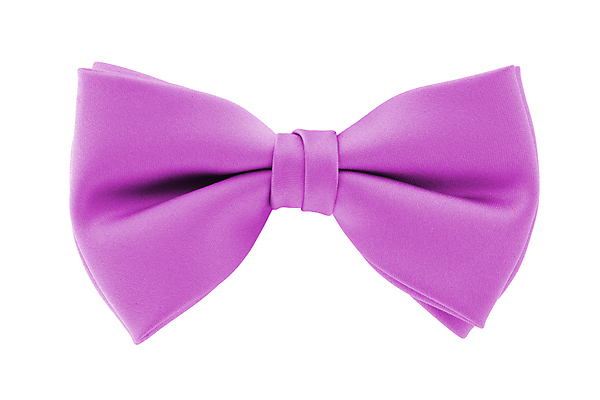 포토 JPG 해외이미지 무료이미지 드레스 옷 남자 리본 길 클리핑패스 나비 결혼 비즈니스 넥타이 정장 턱시도 사람없음 장식 파티 유행 검은색 축하 직물 클래식 고급 우아함 저녁 실크 자르기 천 웨이터 심볼 오브젝트 매듭 개성 목 무도회 정중 스타일 해외202007 해외202105 해외포토 직업 잡화 컬러 곤충 컨셉 모션 사람 이벤트 신체부위 야간 파일형식 무료콘텐츠