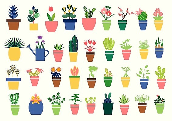 EPS 해외이미지 나무 식물 디자인 꽃 화분 화초 잎 꽃무늬 일러스트 자연 선인장 주택 실내 내부 그래픽 장식 초록색 세트 상점 정원 성장 도자기 플랫 냄비 수집 오브젝트 원예 분재 내추럴 고립 심기 엘리먼트 온실 이국적 스타일 해외202007 해외일러스트 컬러 무늬 모션 취미 건물 솥 생태계 파일형식 벡터
