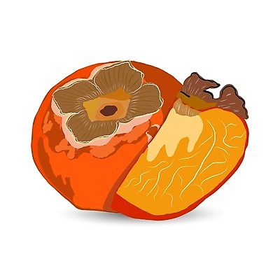 EPS 해외이미지 디자인 옷 음식 조각 백그라운드 잎 다이어트 오렌지 과일 일러스트 자연 디저트 건강 씨앗 여름 세트 컬러풀 일본 신선 맛 자르기 흰배경 유기농 날것 구성 이국적 비건 맛있는 해외202007 해외일러스트 식물 웰빙 계절 아시아 컬러 컨셉 모션 흰색 생태계 채식주의자 파일형식 벡터