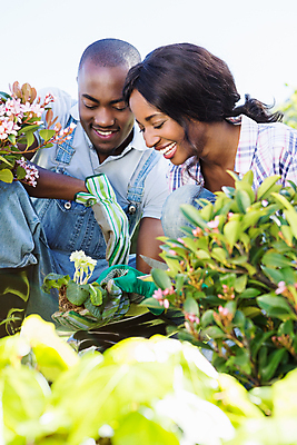 포토 JPG 해외이미지 식물 여자 남자 행복 함께함 웃음 20대 성인 취미 야외 두명 농장 정원 맑음 원예 정원가꾸기 성인만 정확 해외202007 해외포토 감정 컨셉 농업 날씨 표정 사람 청년 파일형식