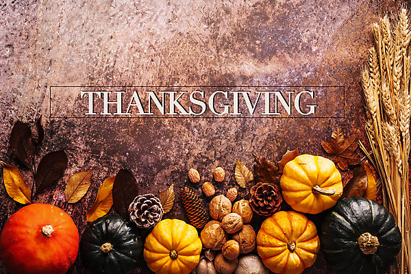 포토 JPG 해외이미지 무료이미지 전통 디자인 계절 행복 음식 백그라운드 잎 농업 채소 오렌지 텍스트 자연 탁자 호박 휴가 전등 사람없음 목재 장식 노란색 파티 축제 견과류 수확 가을 시골 축하 인사 신용카드 메시지 정상 11월 사인 주기 감사 위치 추수감사절 해외202007 해외202105 해외포토 나무 식물 감정 산업 기독교 컬러 가구 컨셉 과일 재료 모션 조명 이벤트 금융 예절 날짜 생태계 파일형식 무료콘텐츠